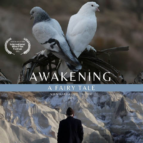 Awakening: A Fairy Tale
